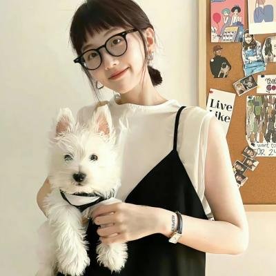 欢乐元帅海报